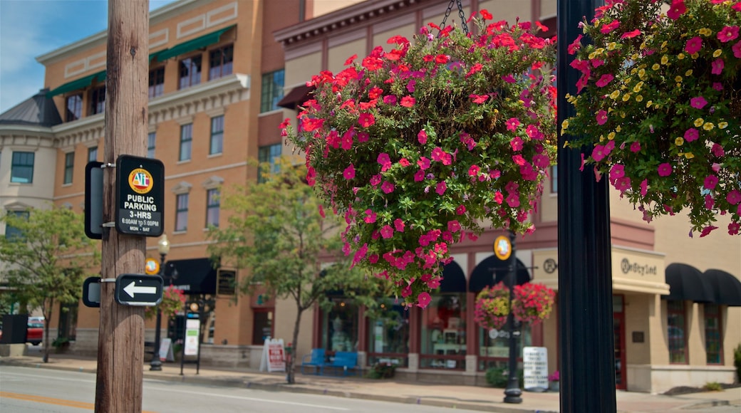 Carmel Arts and Design District showing flowers