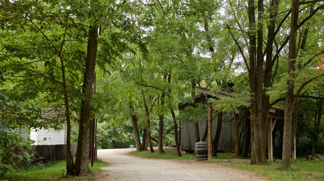 Conner Prairie Interactive History Park som visar en liten stad eller by och en park