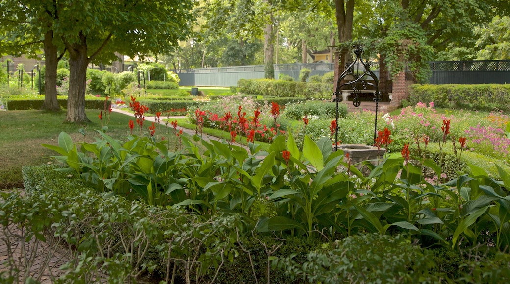 The History Museum showing wildflowers and a garden