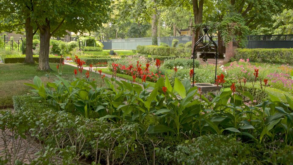 The History Museum toont wilde bloemen en een park