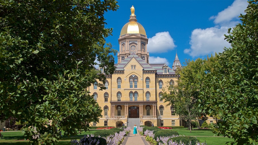 Basilica of the Sacred Heart showing flowers, a park and heritage architecture