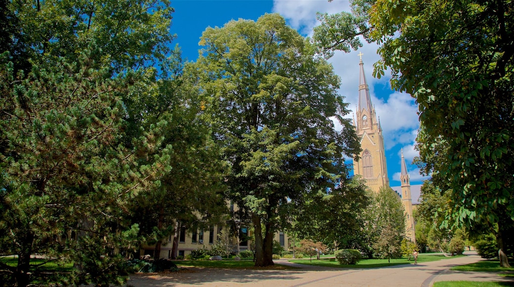 Basilica of the Sacred Heart featuring a park and heritage architecture