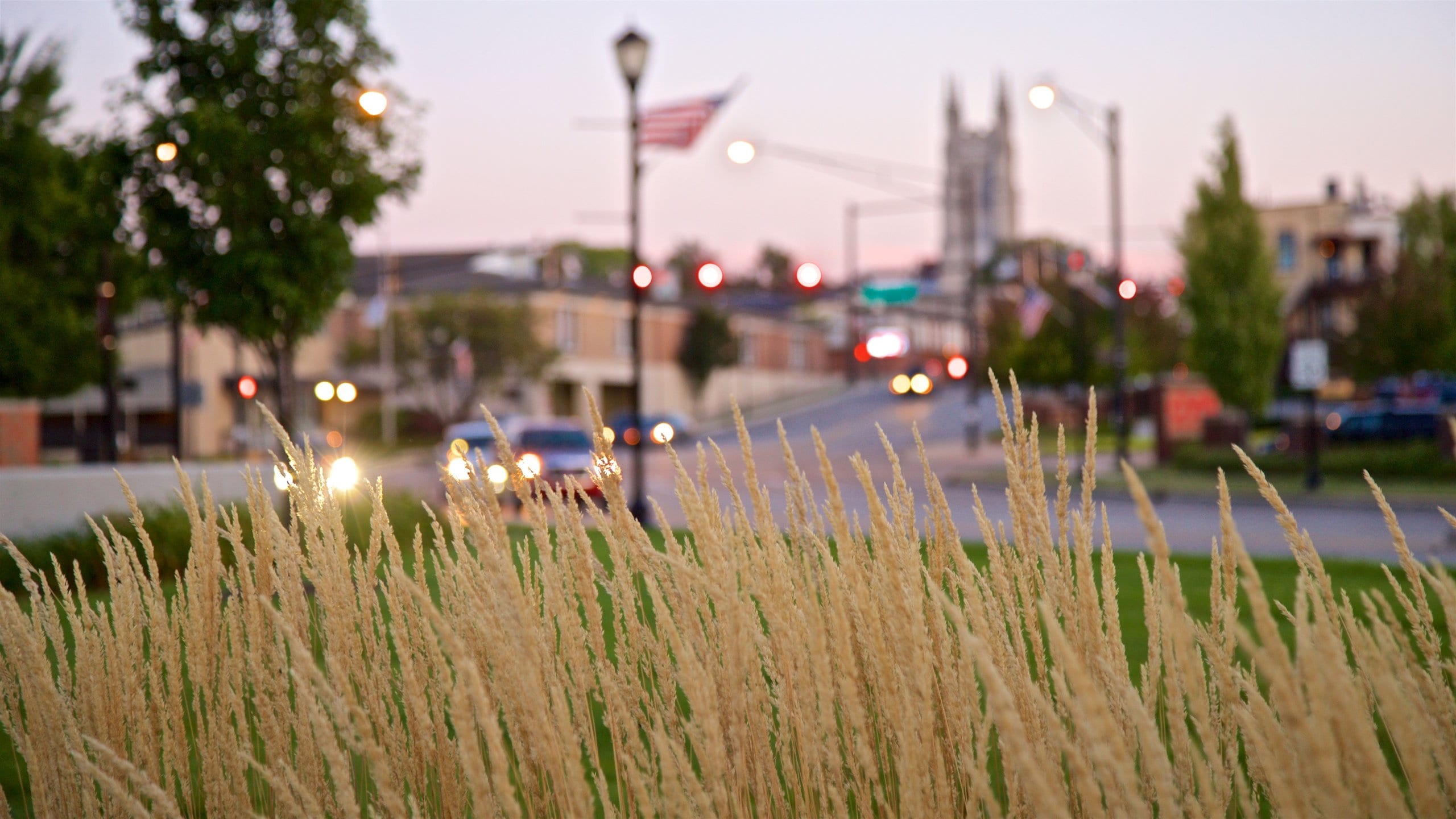 Mishawaka featuring a park and a sunset