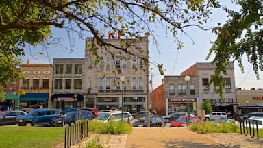 Bloomington showing a garden