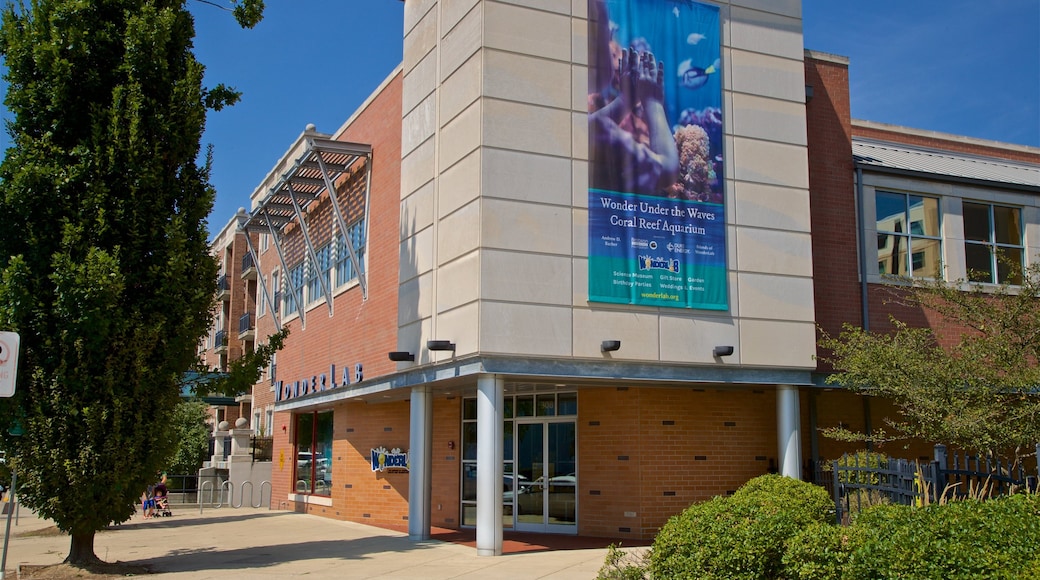 Museo Wonderlab de Ciencias mostrando señalización