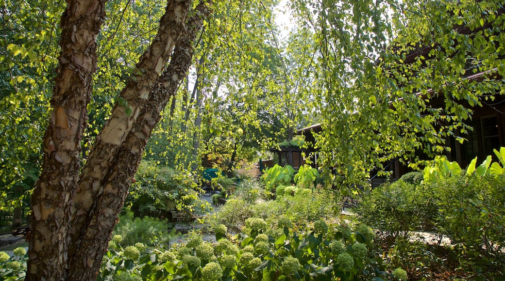 Oliver Winery featuring a garden