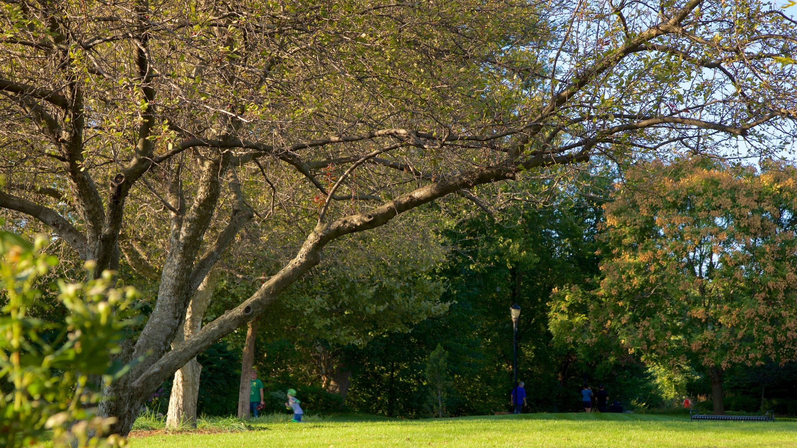 Mishawaka Travel Guide Best of Mishawaka, Indiana Travel 2024 Expedia.co.uk