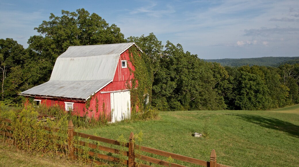 Indiana che include terreno coltivato