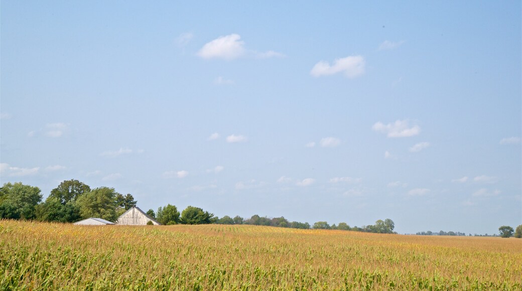 Indiana mostrando terreno coltivato e vista del paesaggio