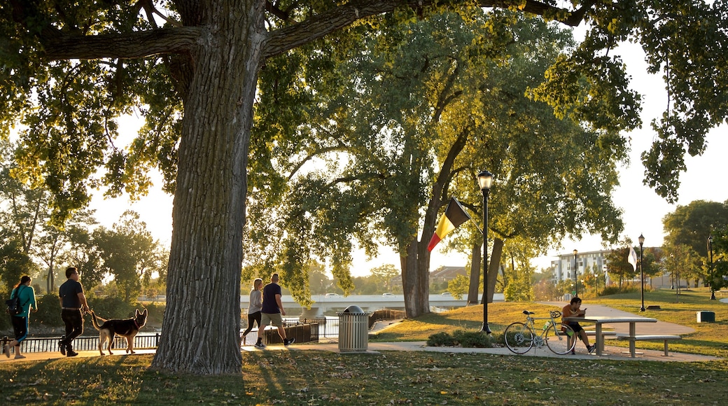 Mishawaka mostrando una puesta de sol y un parque y también un pequeño grupo de personas