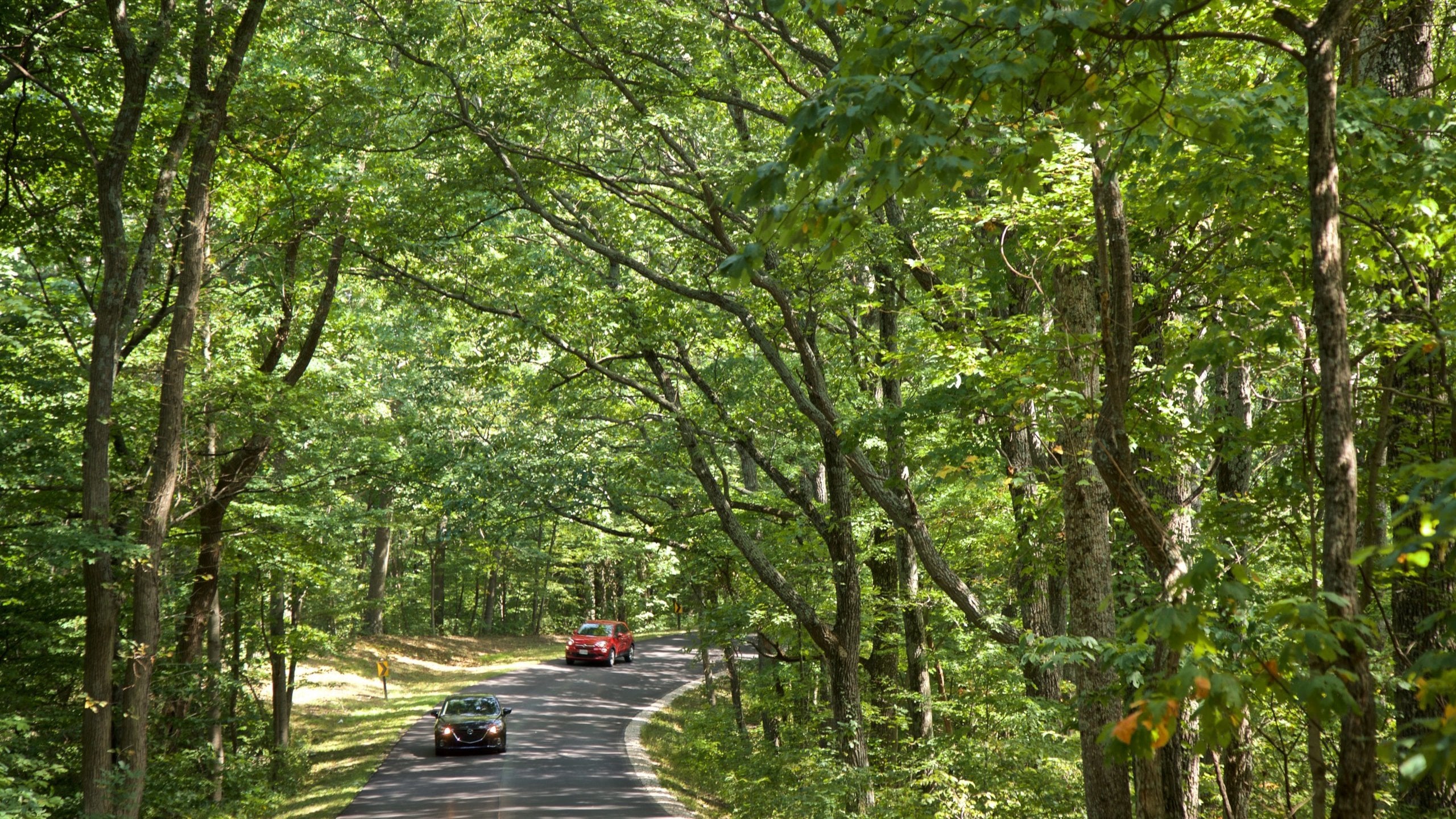 Brown County State Park which includes tranquil scenes