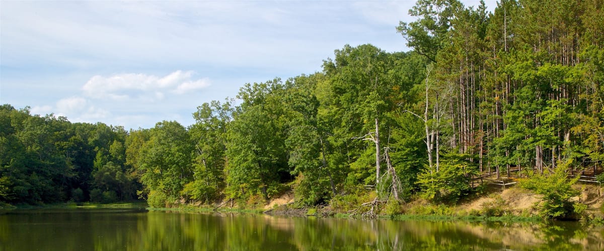 Brown County State Park which includes a lake or waterhole