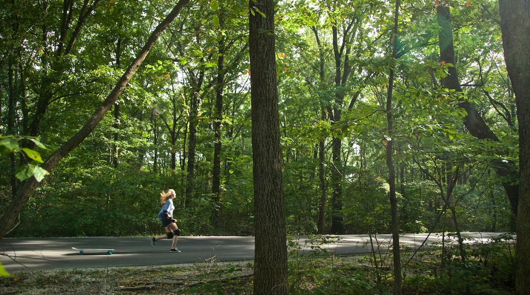 Brown County State Park caratteristiche di paesaggio forestale e giardino cosi come ragazza