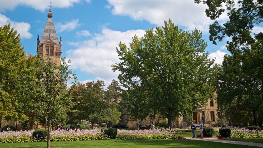 Basilica of the Sacred Heart showing wild flowers and a garden