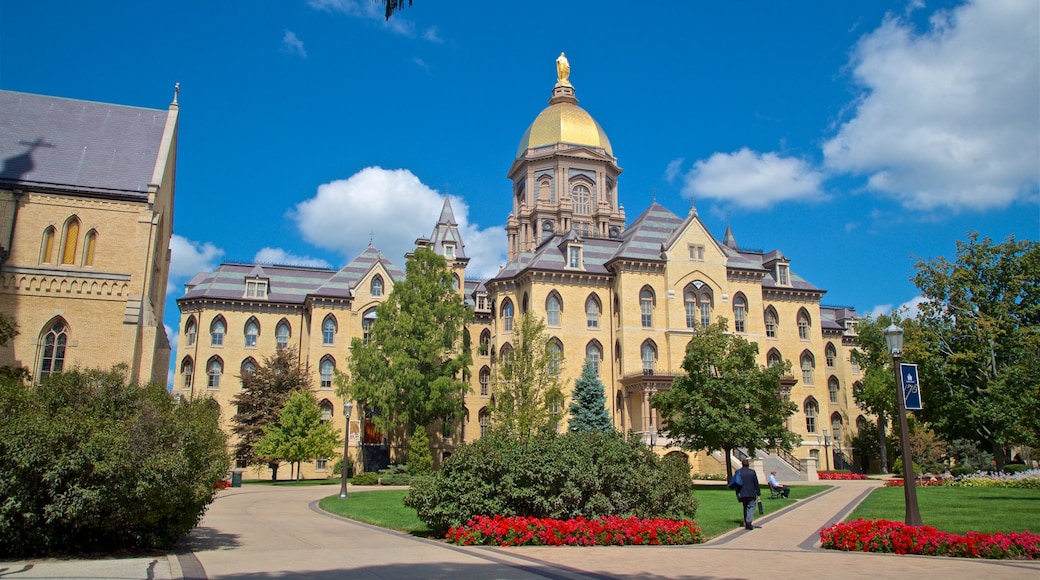 Basilica of the Sacred Heart featuring a park, flowers and heritage architecture