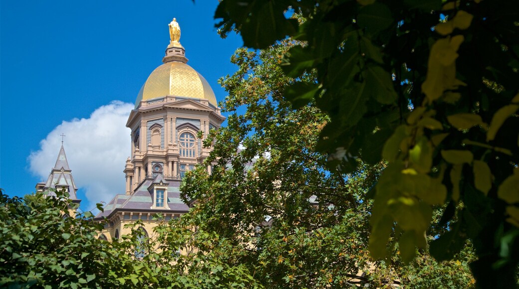 Basilica of the Sacred Heart featuring a church or cathedral and heritage architecture