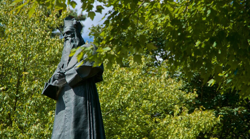 Basilica of the Sacred Heart showing religious elements and a statue or sculpture