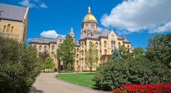 University of Notre Dame showing a garden, wild flowers and heritage architecture