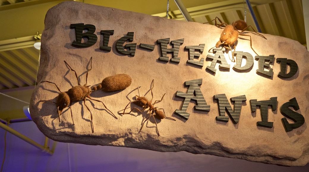 Wonderlab Science Museum showing signage