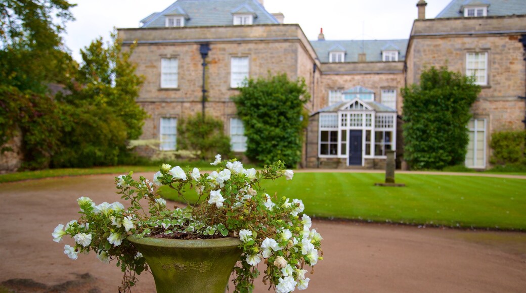 Melbourne Hall showing flowers, a house and a garden