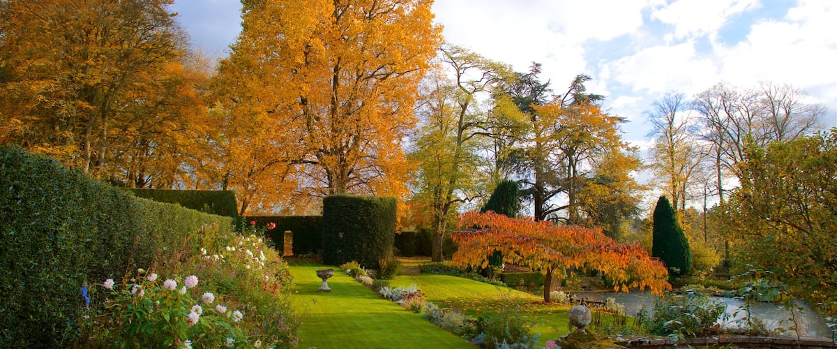 Coton Manor Gardens which includes wildflowers, a park and autumn leaves