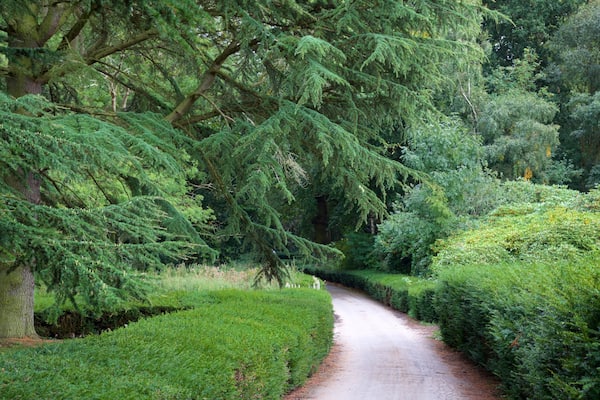 Elvaston Castle das einen Garten