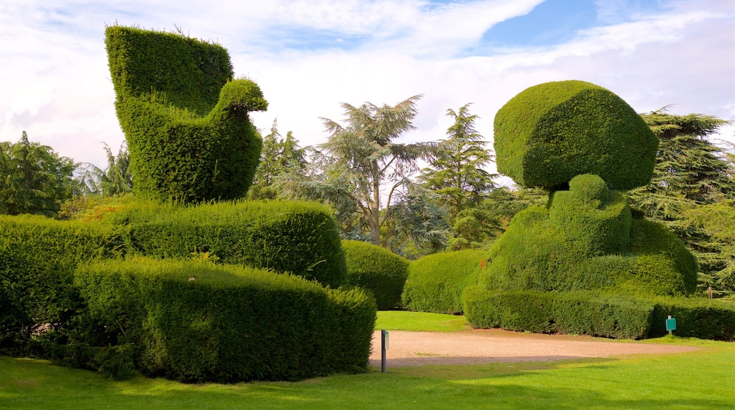 Elvaston Castle som visar en park