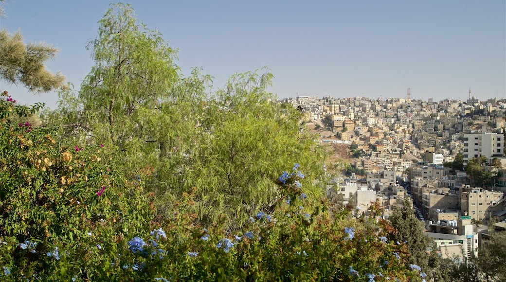 Darat al Funun showing wildflowers, landscape views and a city