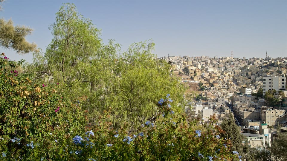 Darat al Funun which includes a city, wild flowers and landscape views