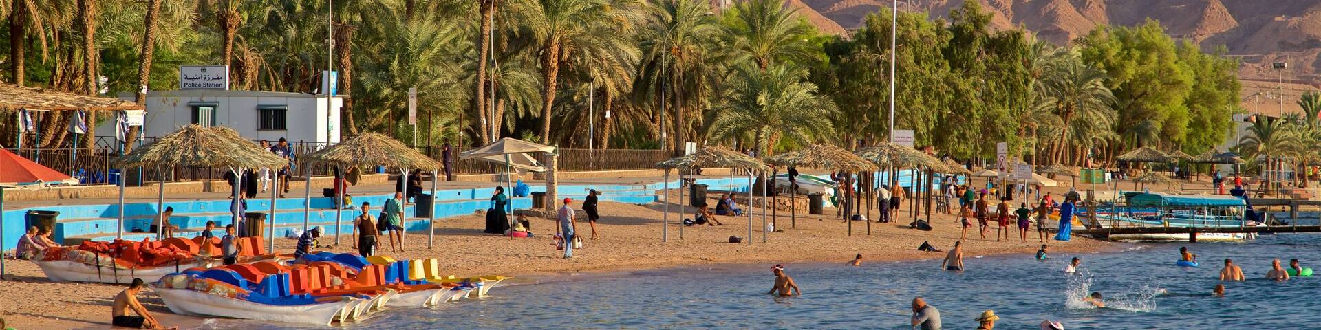 Aqaba featuring tropical scenes, general coastal views and swimming