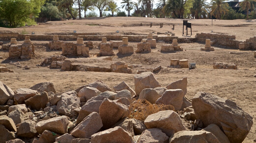 Aqaba showing building ruins