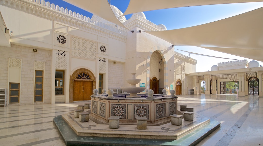 Aqaba showing a fountain