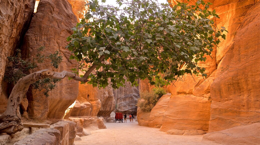 Wadi Musa qui includes gorge ou canyon aussi bien que petit groupe de personnes