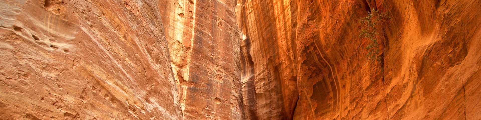 Wadi Musa showing a gorge or canyon as well as an individual male