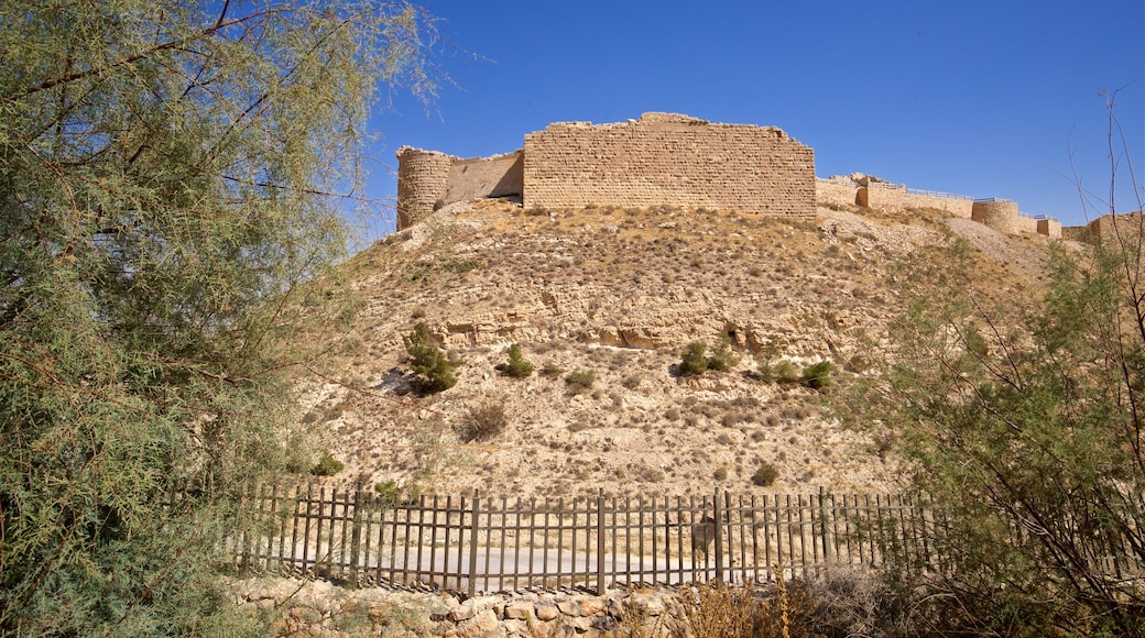 Castello di Shobak che include oggetti d\'epoca e rovine