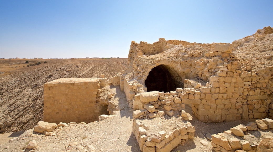 Castillo de Shawbak ofreciendo ruinas de edificios, vistas al desierto y elementos del patrimonio