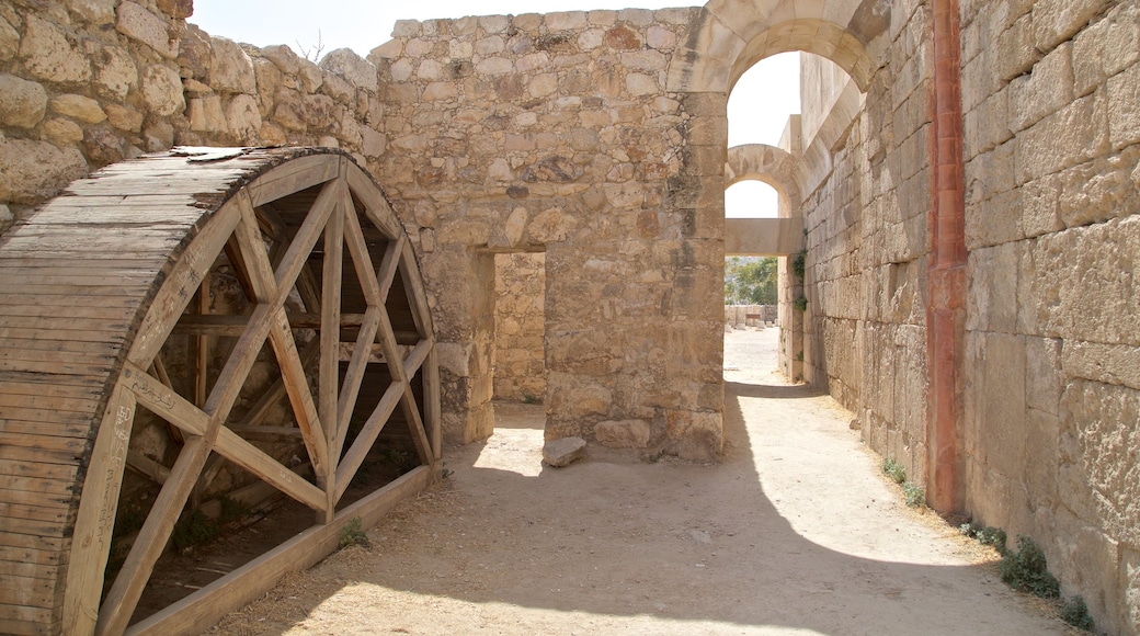 Ummayed Palace showing heritage elements