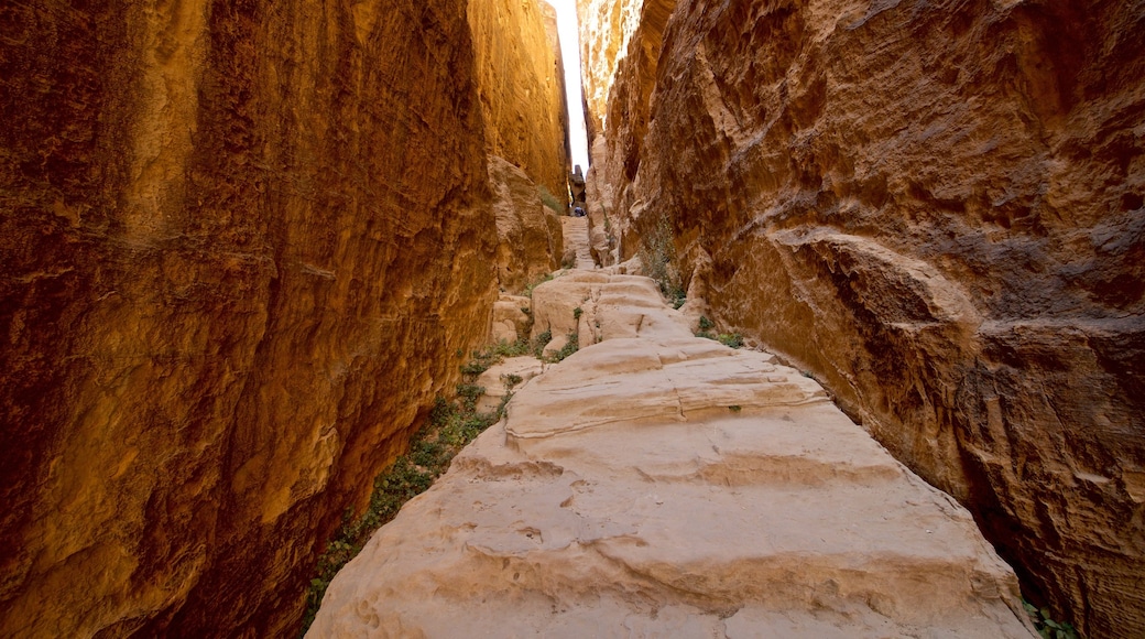 Little Petra which includes a gorge or canyon