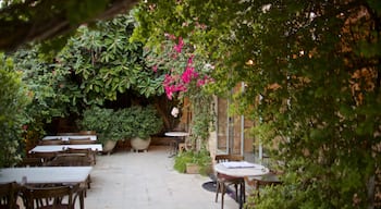 Rainbow Street showing wild flowers and a garden