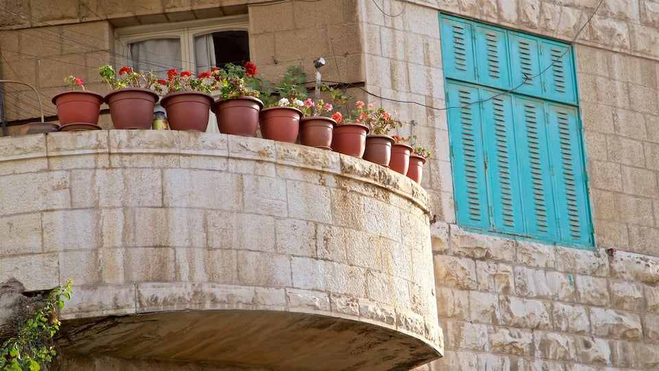 Rainbow Street featuring flowers