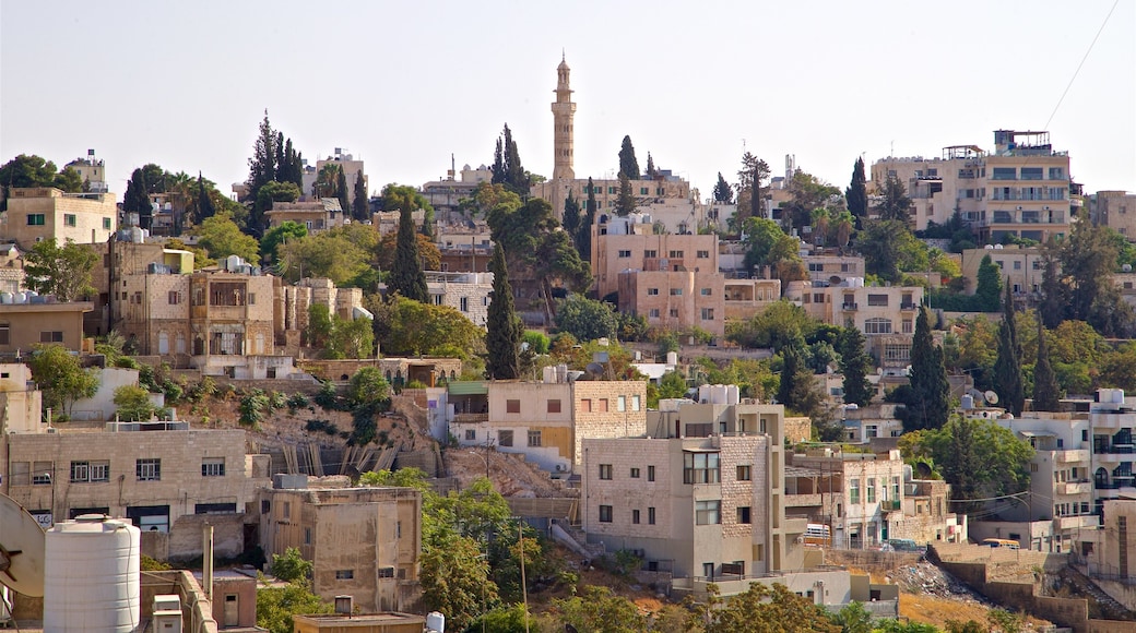 Darat al Funun showing a city and landscape views