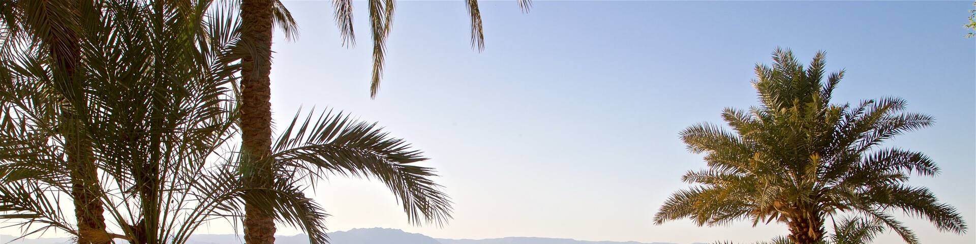 Aqaba which includes general coastal views, a beach and tropical scenes