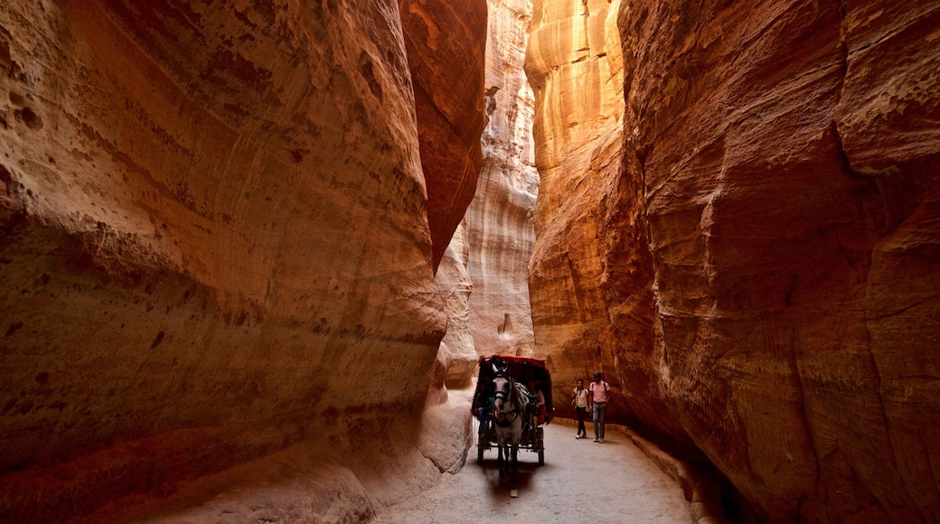 Wadi Musá mostrando animales terrestres y un barranco o cañón