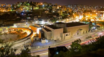 Amman featuring landscape views, a city and night scenes