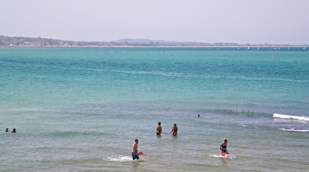 Cattolica que incluye vistas generales de la costa y natación y también un pequeño grupo de personas