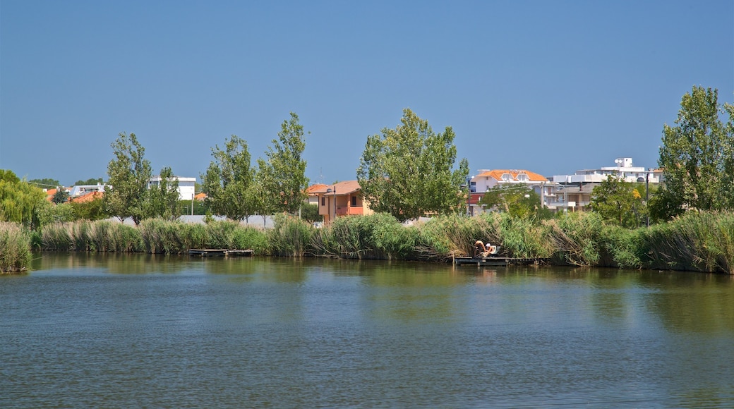 Parco del Gelso which includes a lake or waterhole