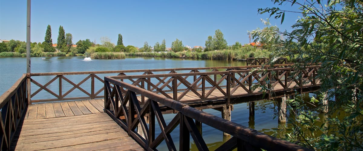 Gelso Park og byder på en bro og en sø eller et vandhul