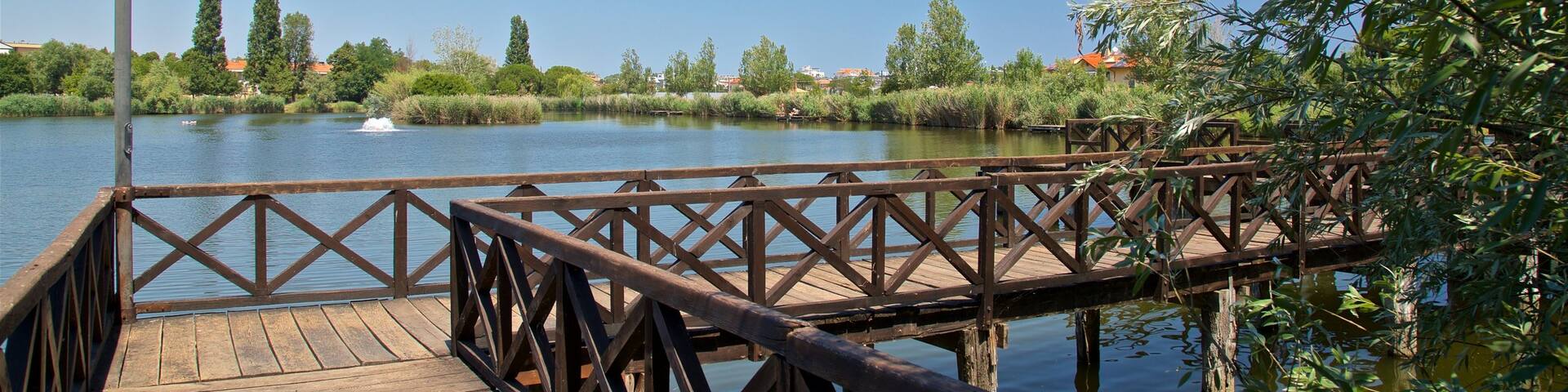 Parco del Gelso das einen Brücke und See oder Wasserstelle