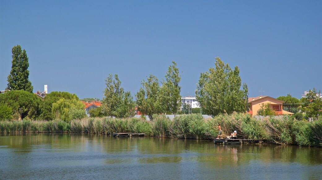 Parco del Gelso caracterizando um lago ou charco