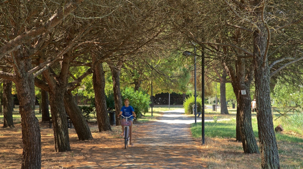 Parco del Gelso showing cycling and a park